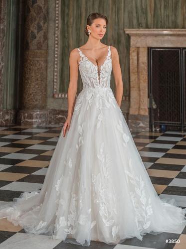 00-50903 DSC7878-Enhanced-NR-Edit