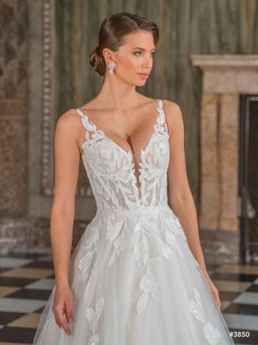 00-50903 DSC7893-Enhanced-NR-Edit