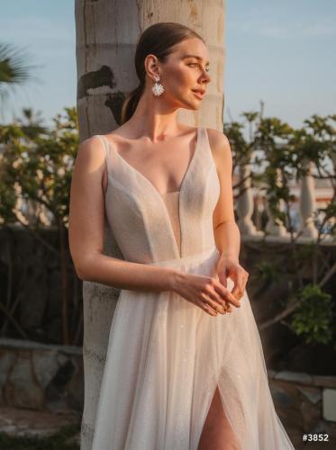 00-Lisa-Donetti-2610 DSC1250