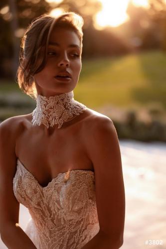 00-brautkleid-demetrios-3802 4