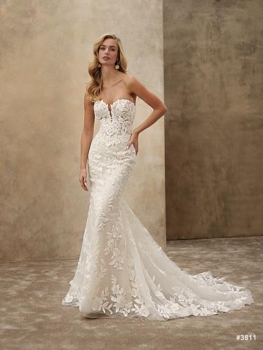 00-brautkleid-demetrios-3811-3