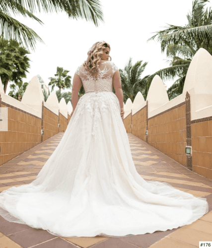 180 Liebreiz Birdalstar Iggy 2I4R7904 back