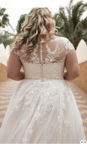 180 Liebreiz Birdalstar Iggy 2I4R7904 detail