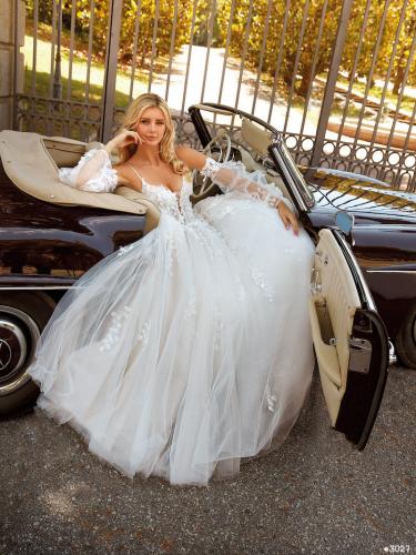 3027 Liebreiz VA 2505