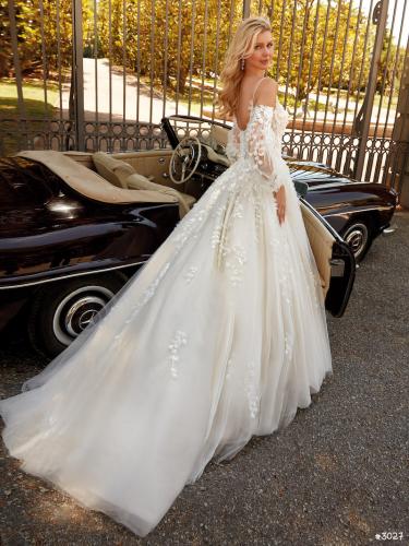 3027 Liebreiz VA 2505 back