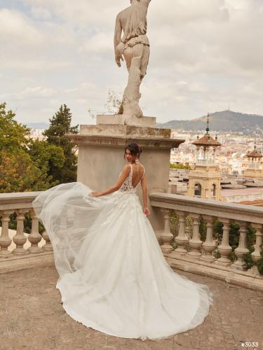 3033- Liebreiz VA 2516 back