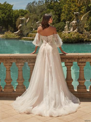 3040 Liebreiz VA 2545 back1