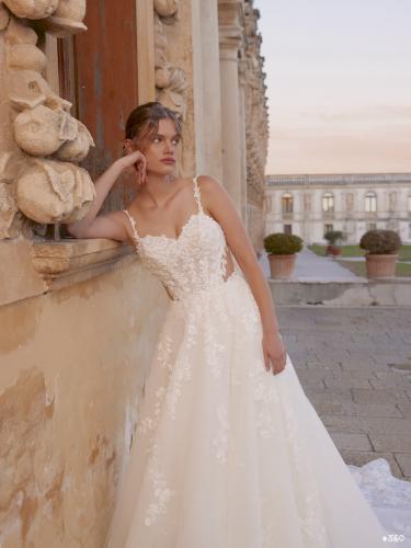 99999-3160 Liebreiz-DEM 1262-1