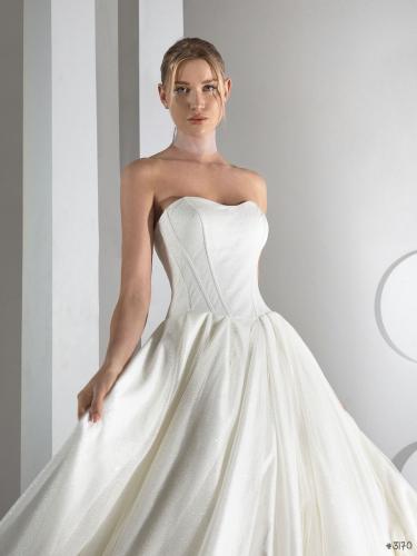 99999-3170 Liebreiz AM AM46-1