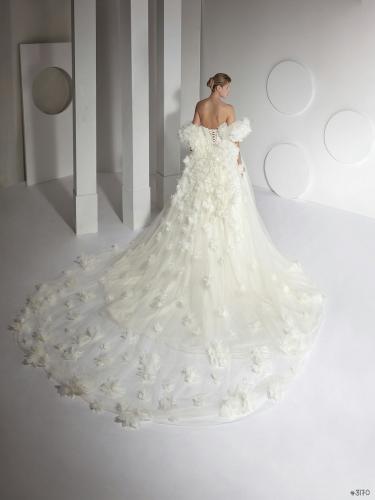 99999-3170 Liebreiz AM AM46 back