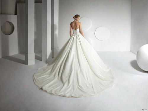 99999-3170 Liebreiz AM AM46 back1