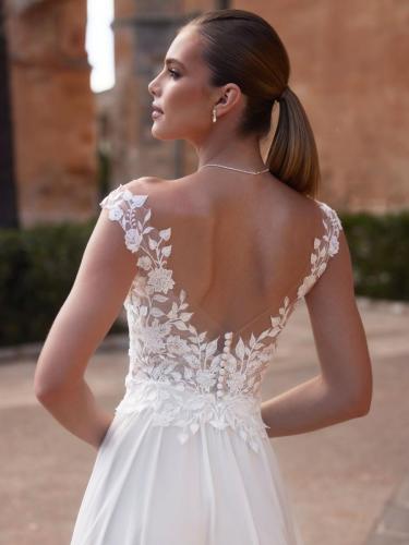 Liebreiz-BE e479-back