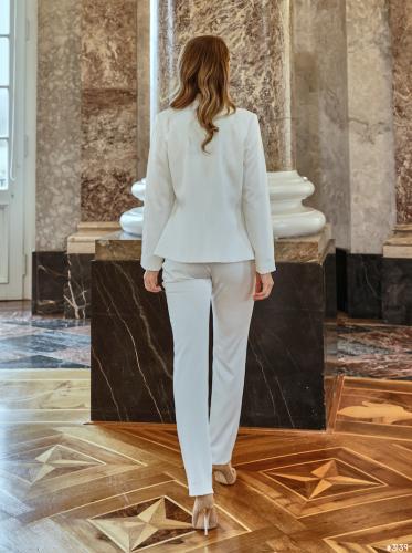 Liebreiz-DLN A142 back